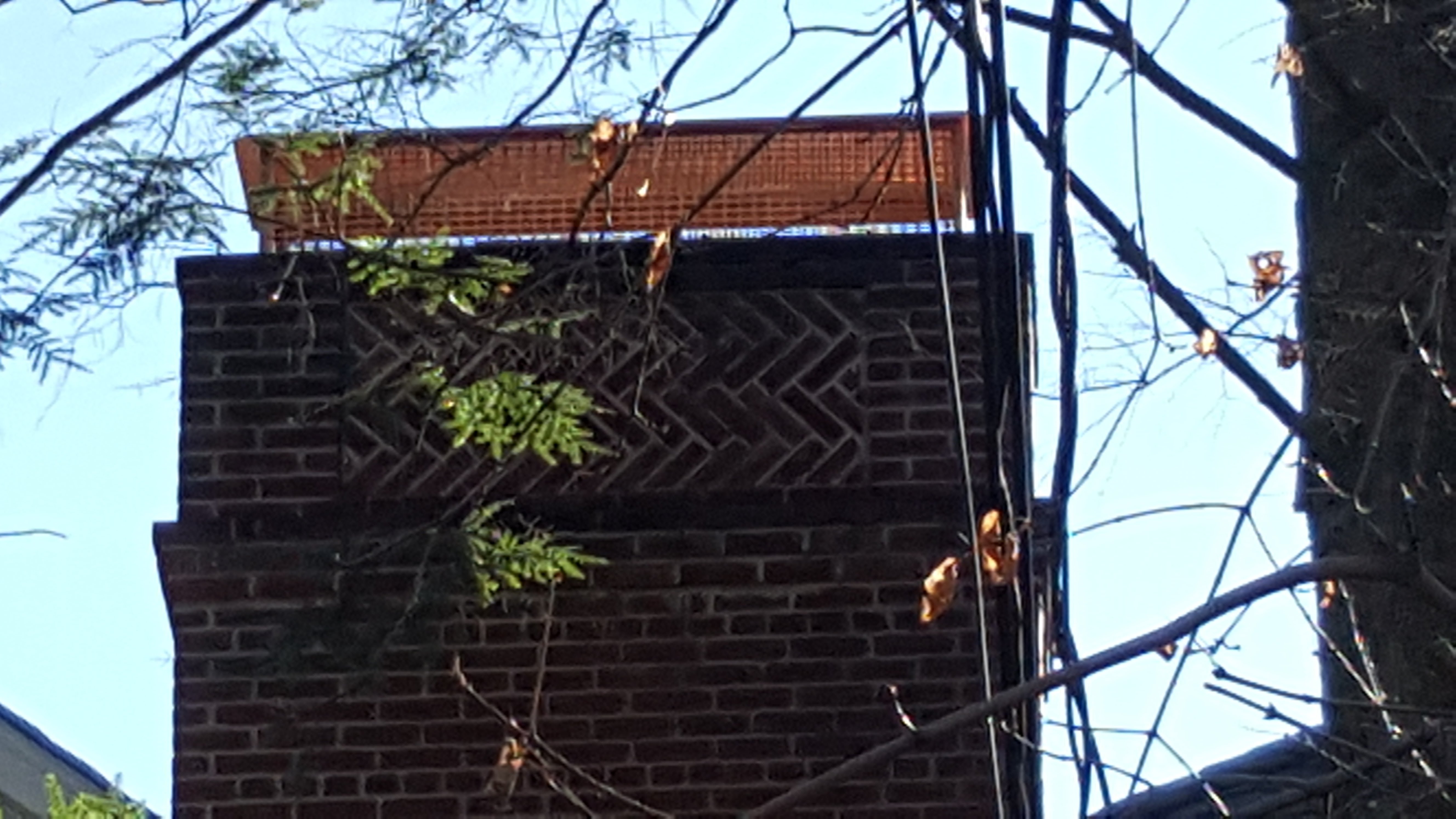 Animal-proof chimney cap protecting home in Commack, New York